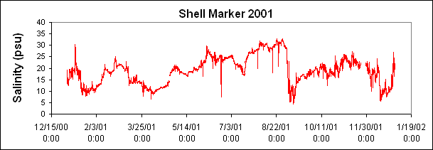 ChartObject Shell Marker 2001